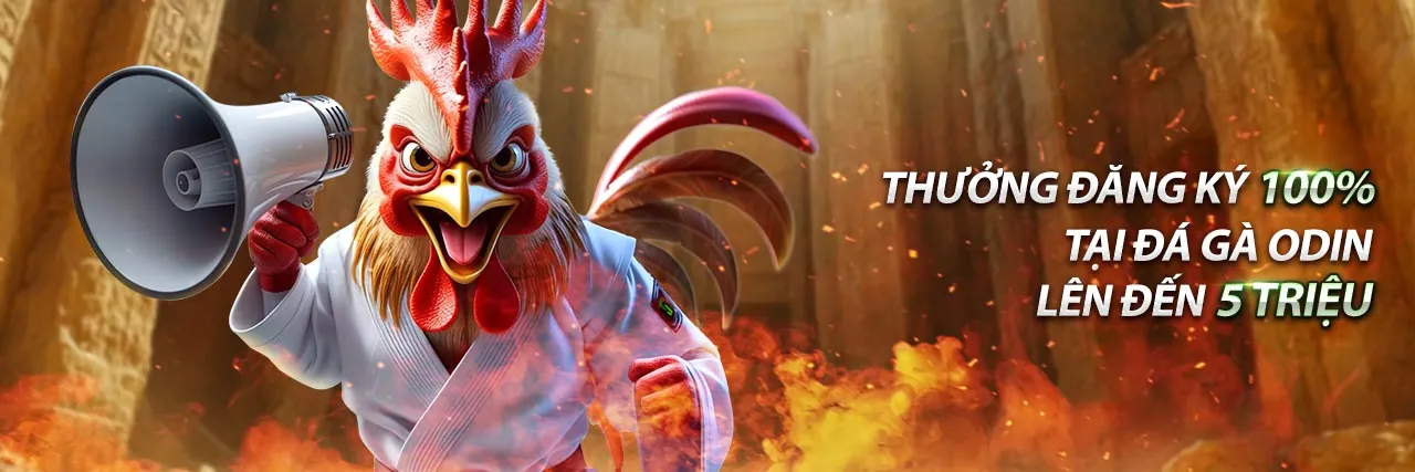 Hình ảnh tổng quan về Điều khoản Dịch vụ của 777x